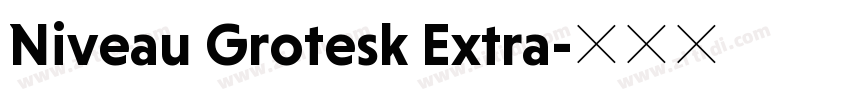 Niveau Grotesk Extra字体转换 Niveau Grotesk Extra字体转换
